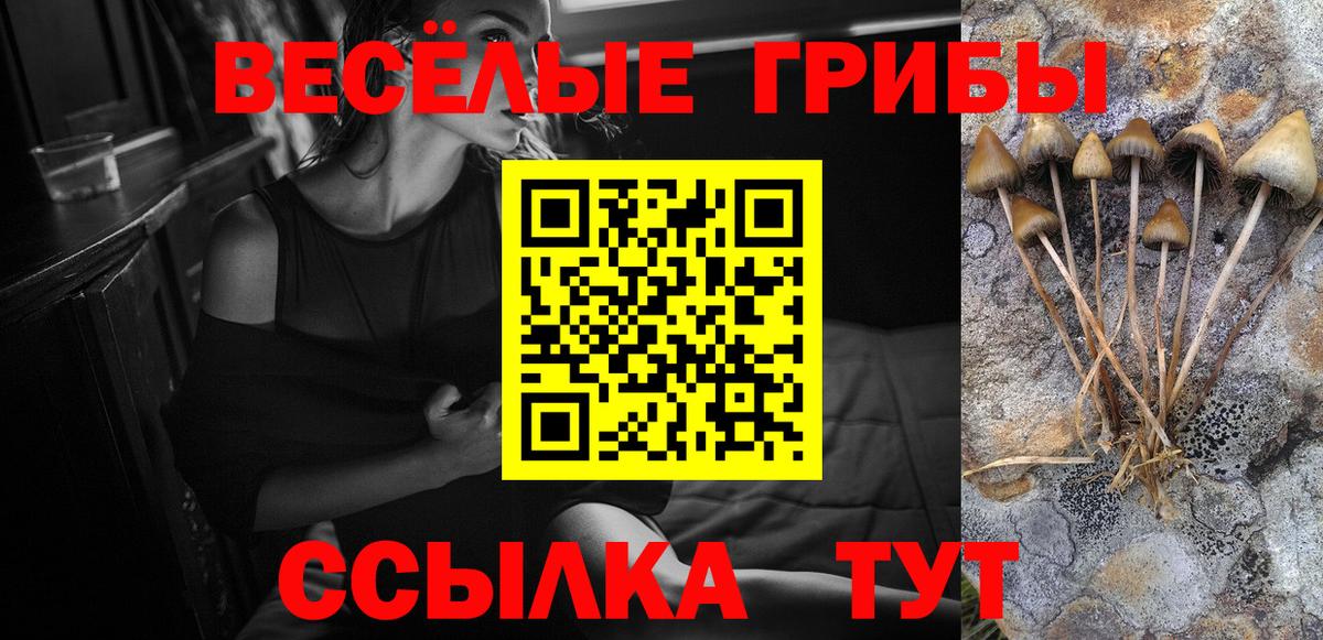 Галлюциногенные грибы мухоморы  Вход с VPN  Псилоцибиновые грибы Psilocybine cubensis  Кинель 